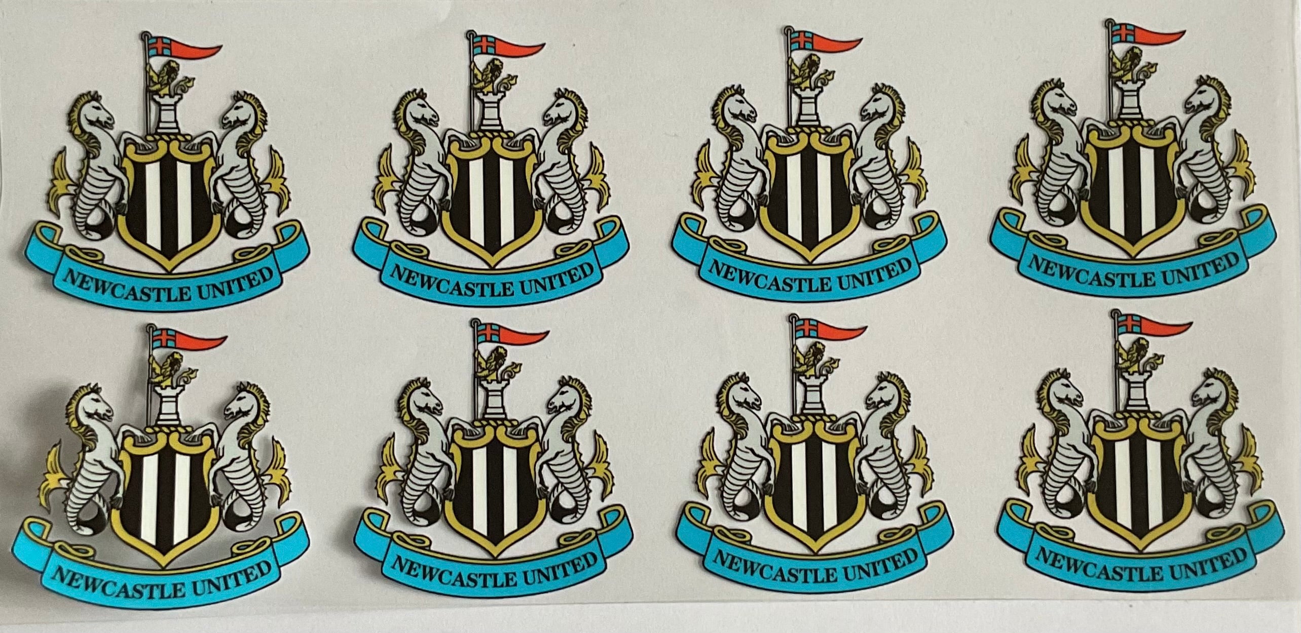 Newcastle united