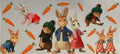 Peter rabbit