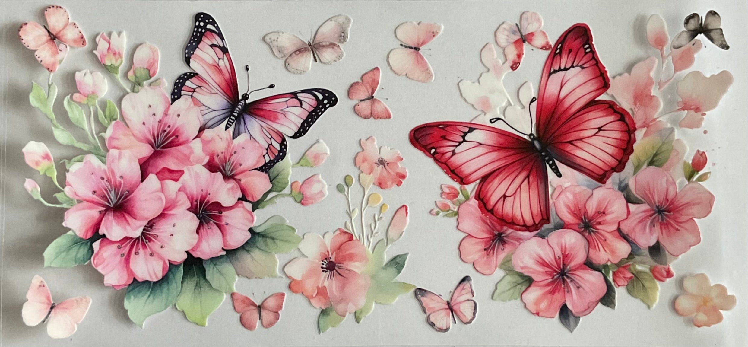 Butterflies and flowers