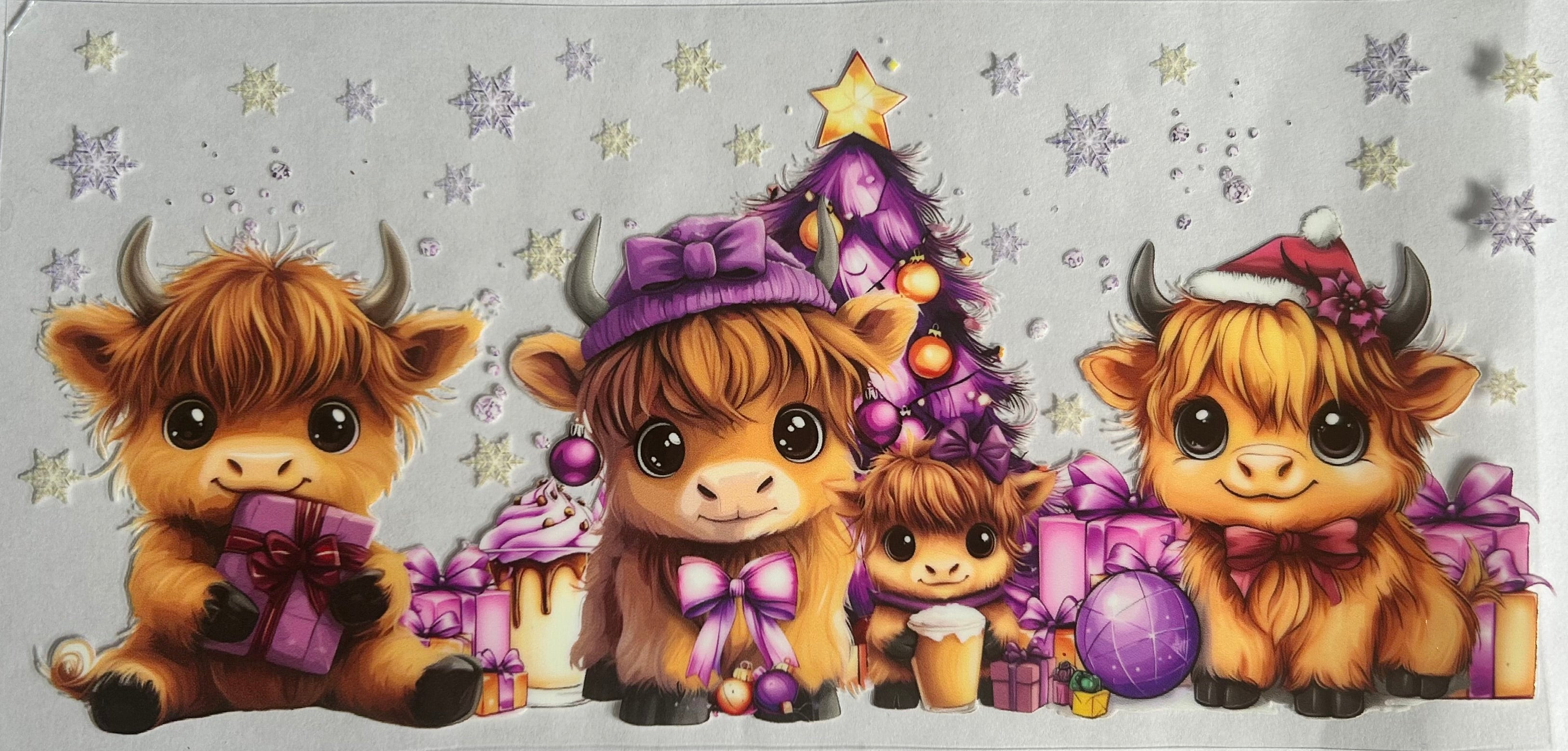 Highland cows