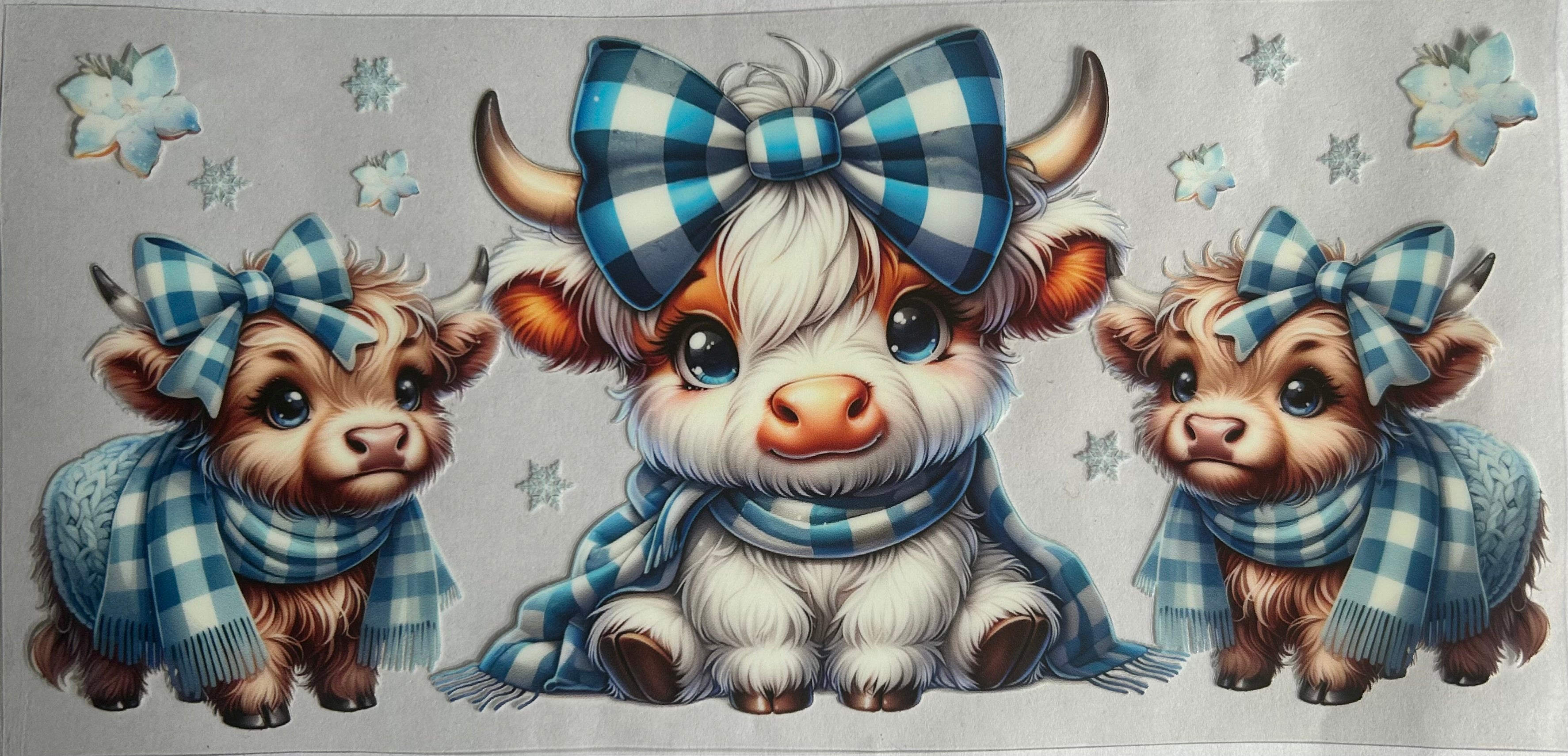 Winter highland cow