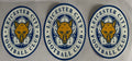 Leicester city football club