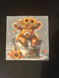 Highland cow