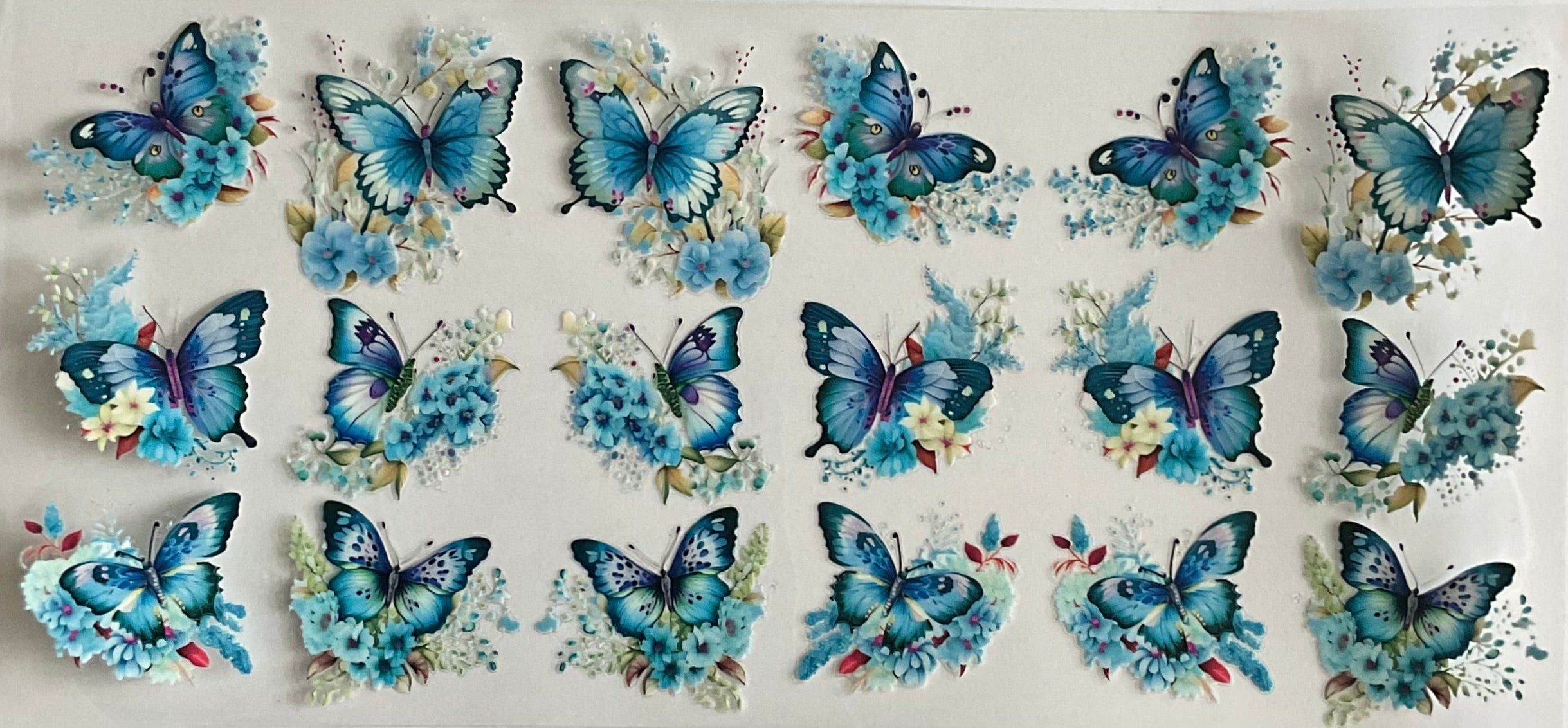Butterflies and flowers