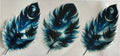 Feathers