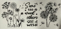 Some see a weed others see a wish