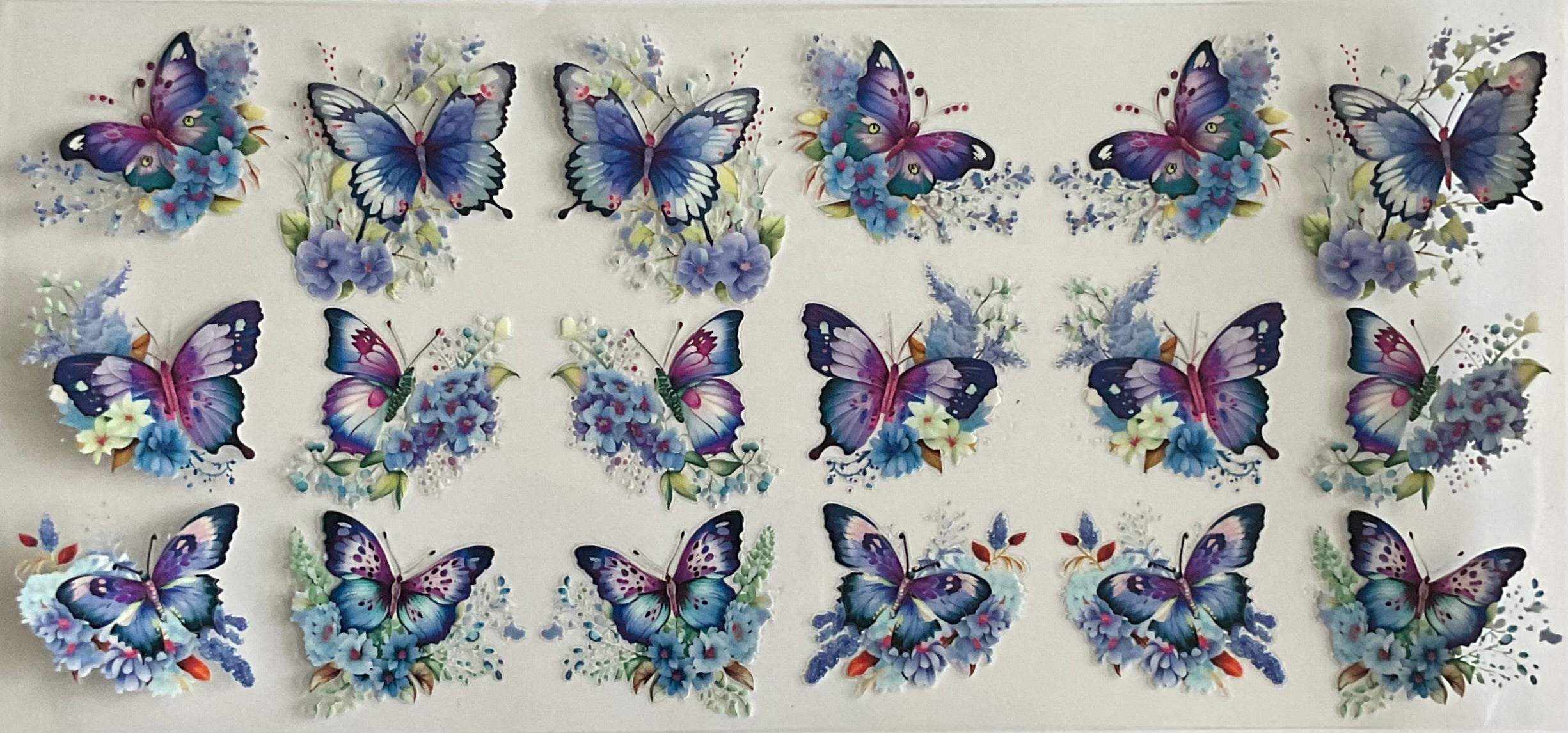 Butterflies and flowers