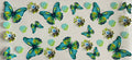 Butterflies and flowers