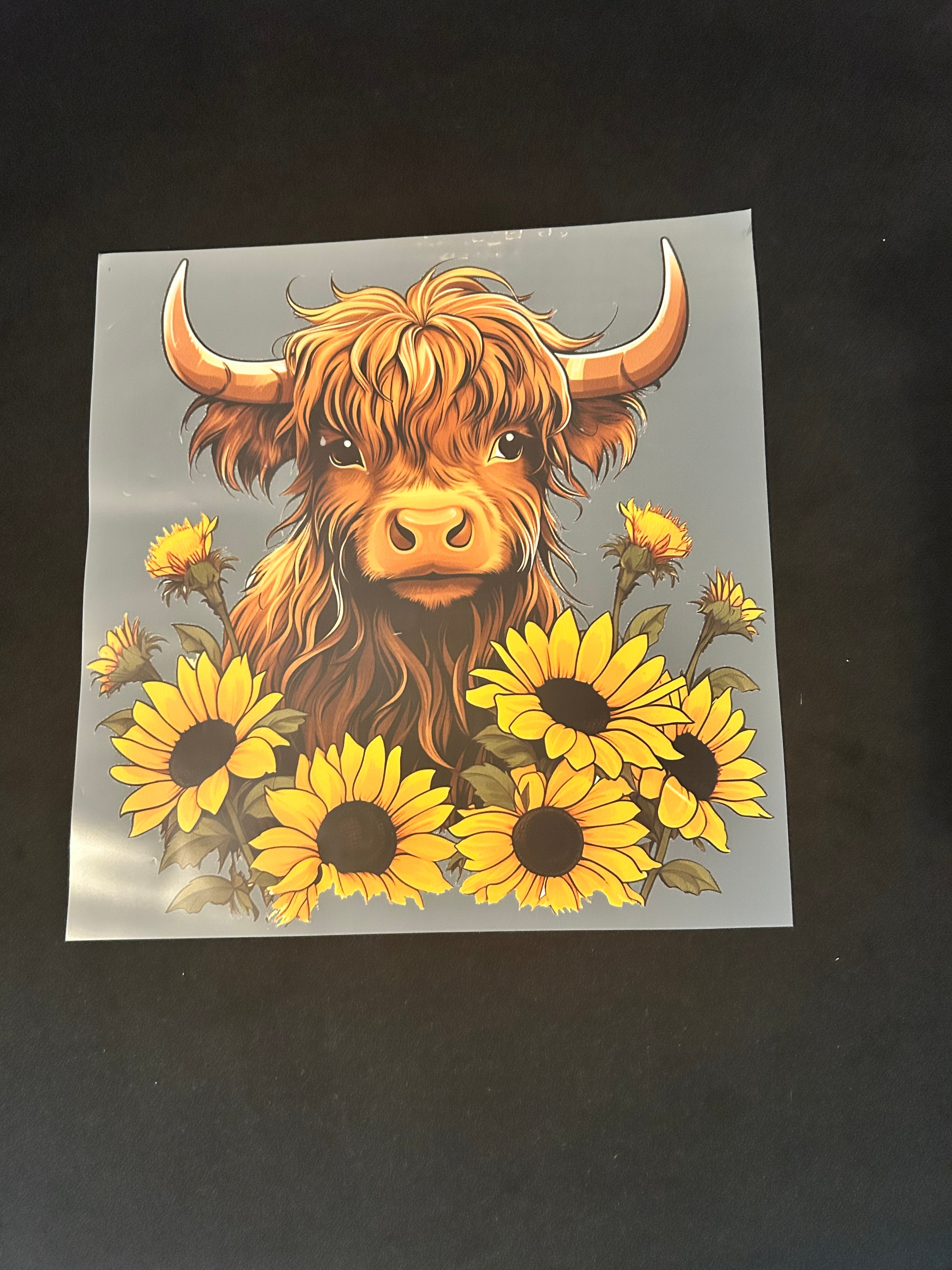 Highland cow and flowers