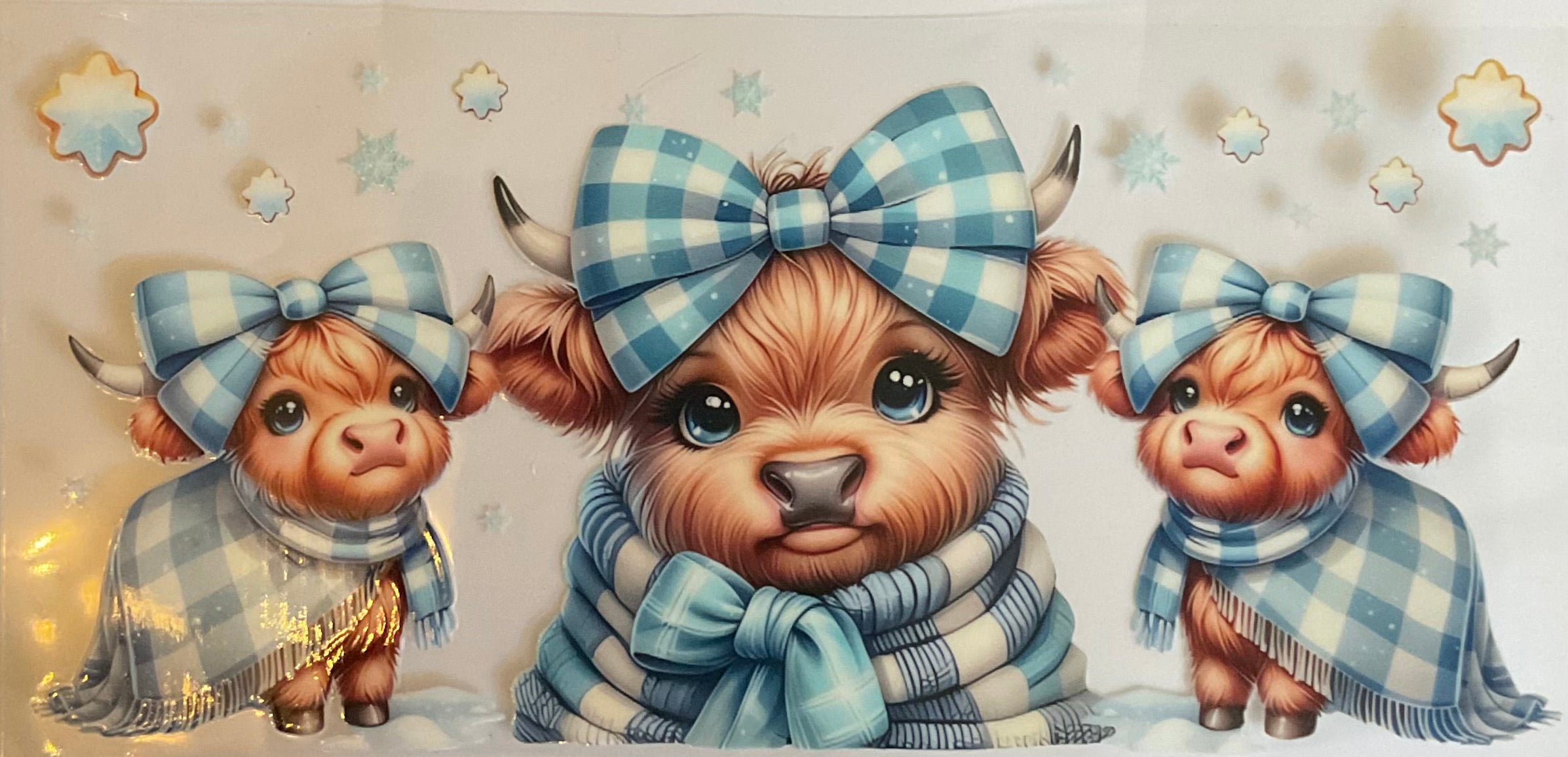 Winter highland cow