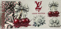 LV cherry