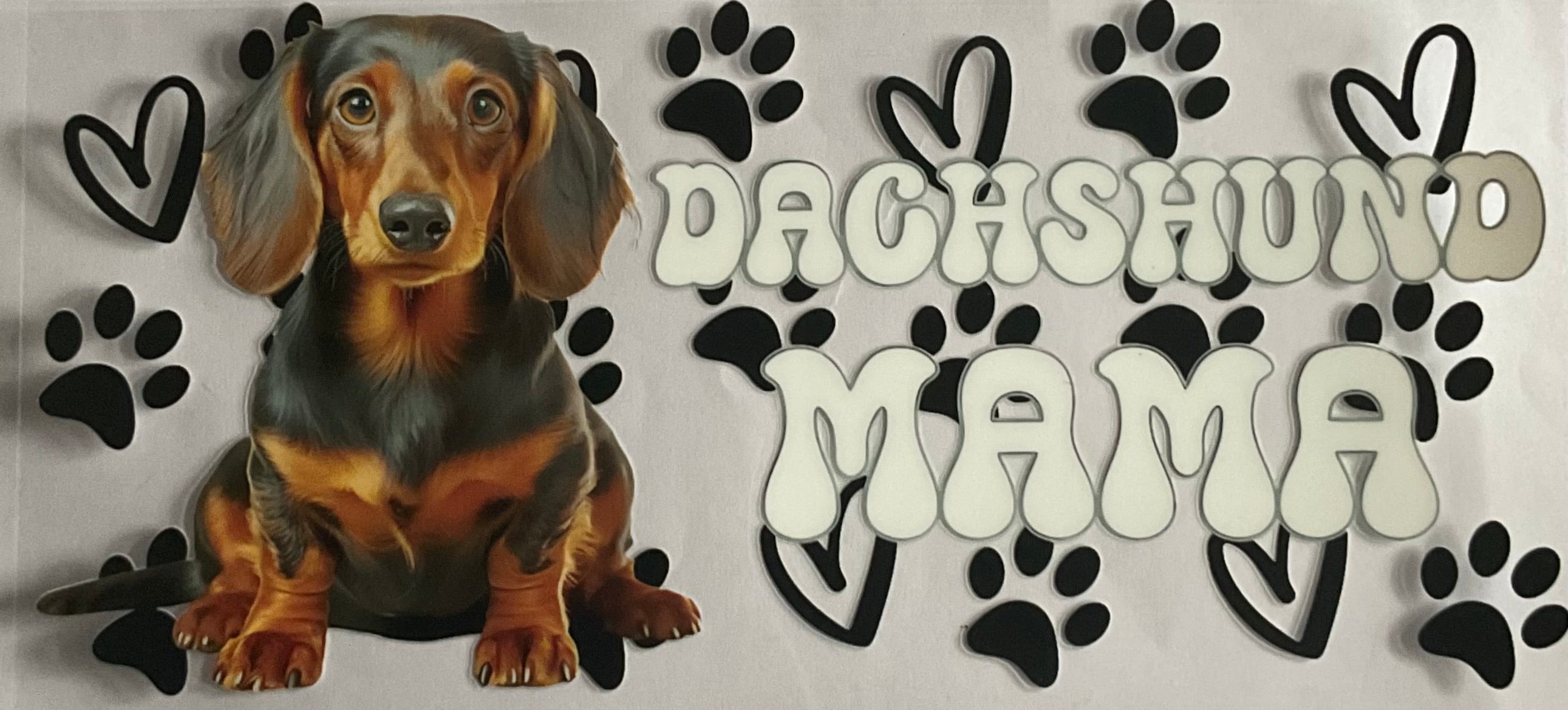 Dachshund mama