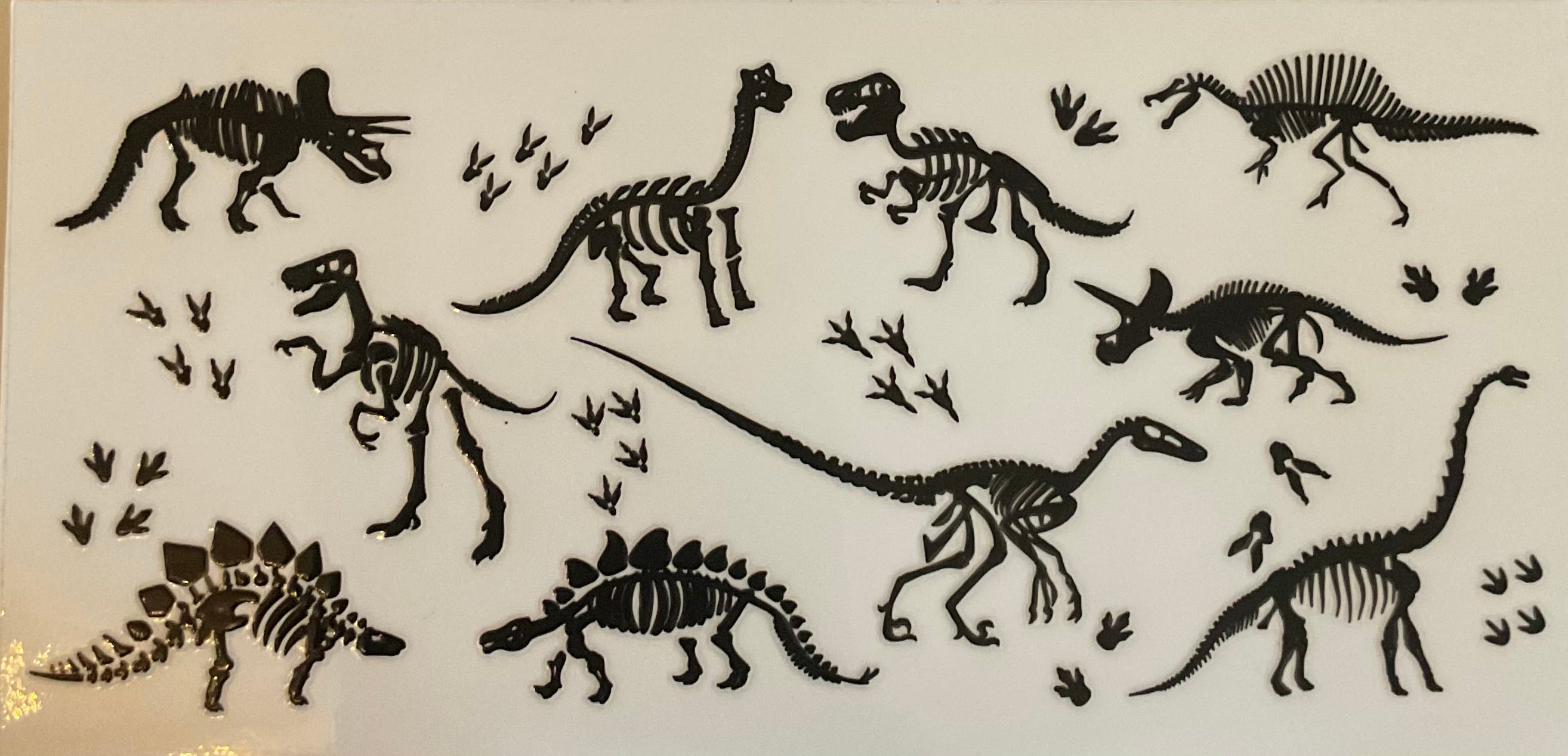 Skeleton dinosaurs