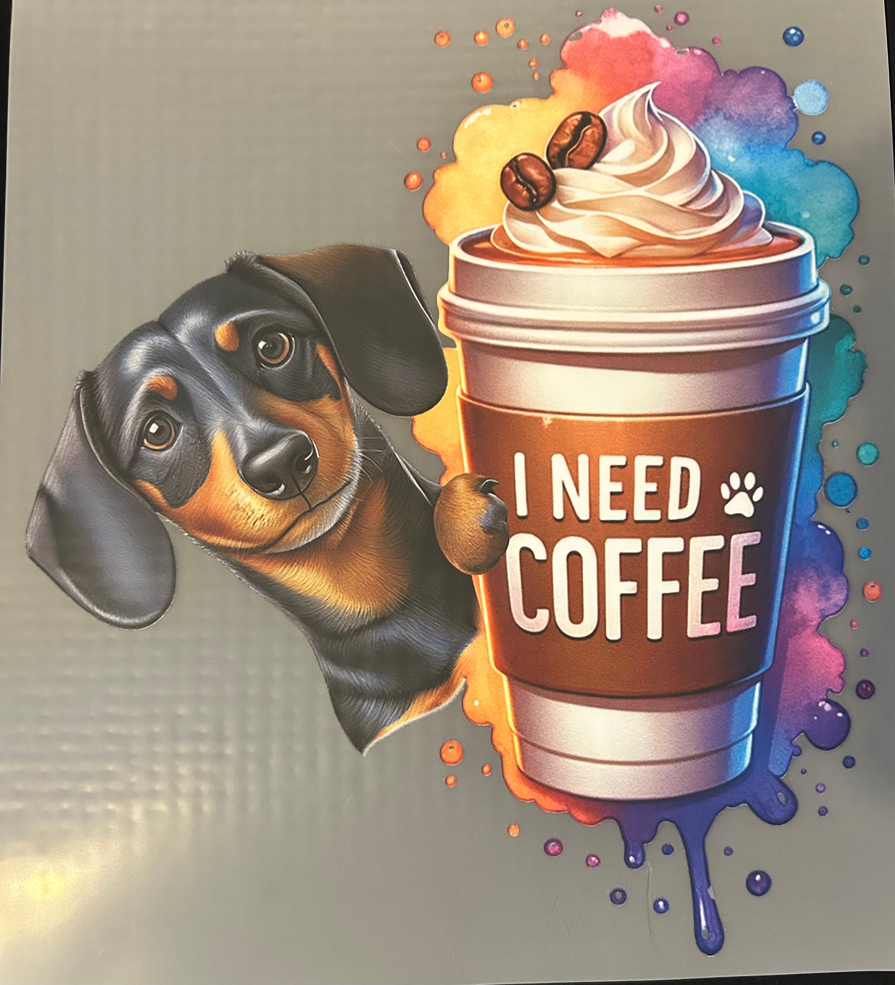 I need coffee dachshund