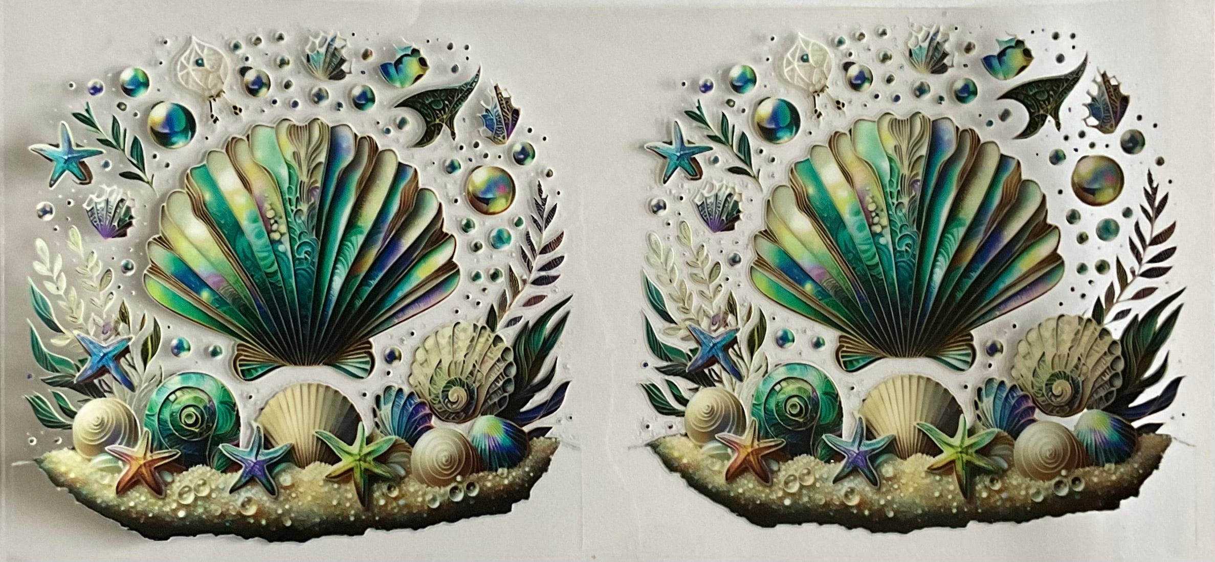 Seashells