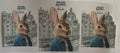 Peter Rabbit
