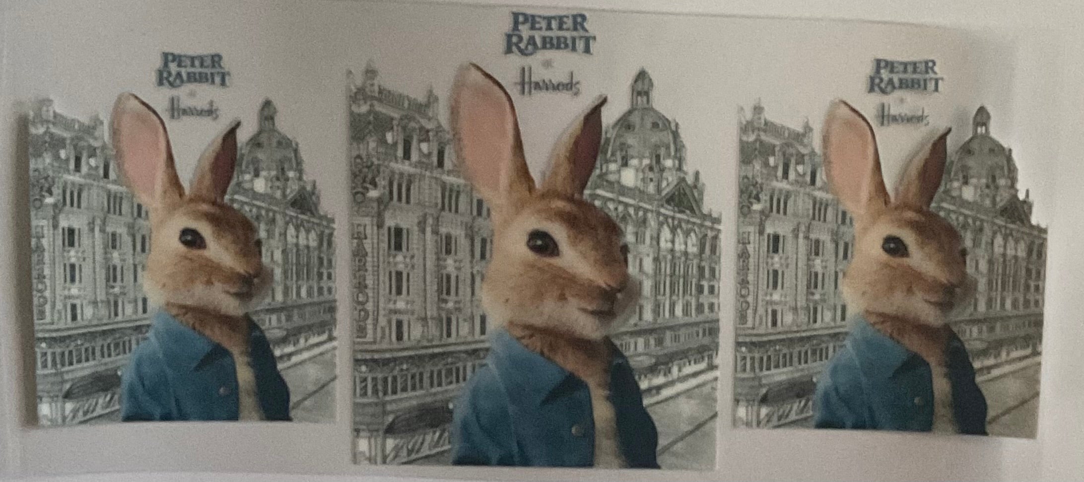 Peter Rabbit
