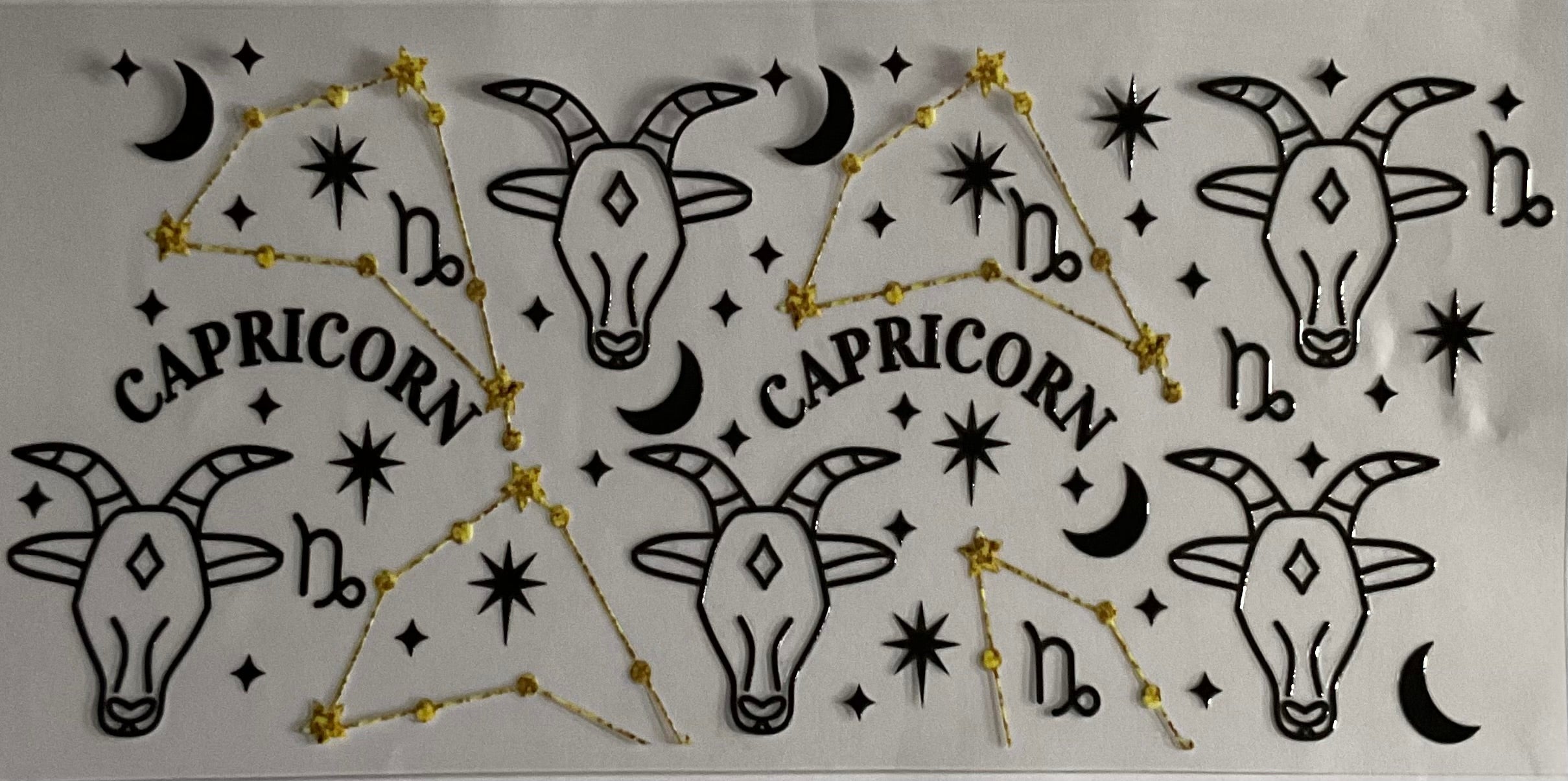 Capricorn