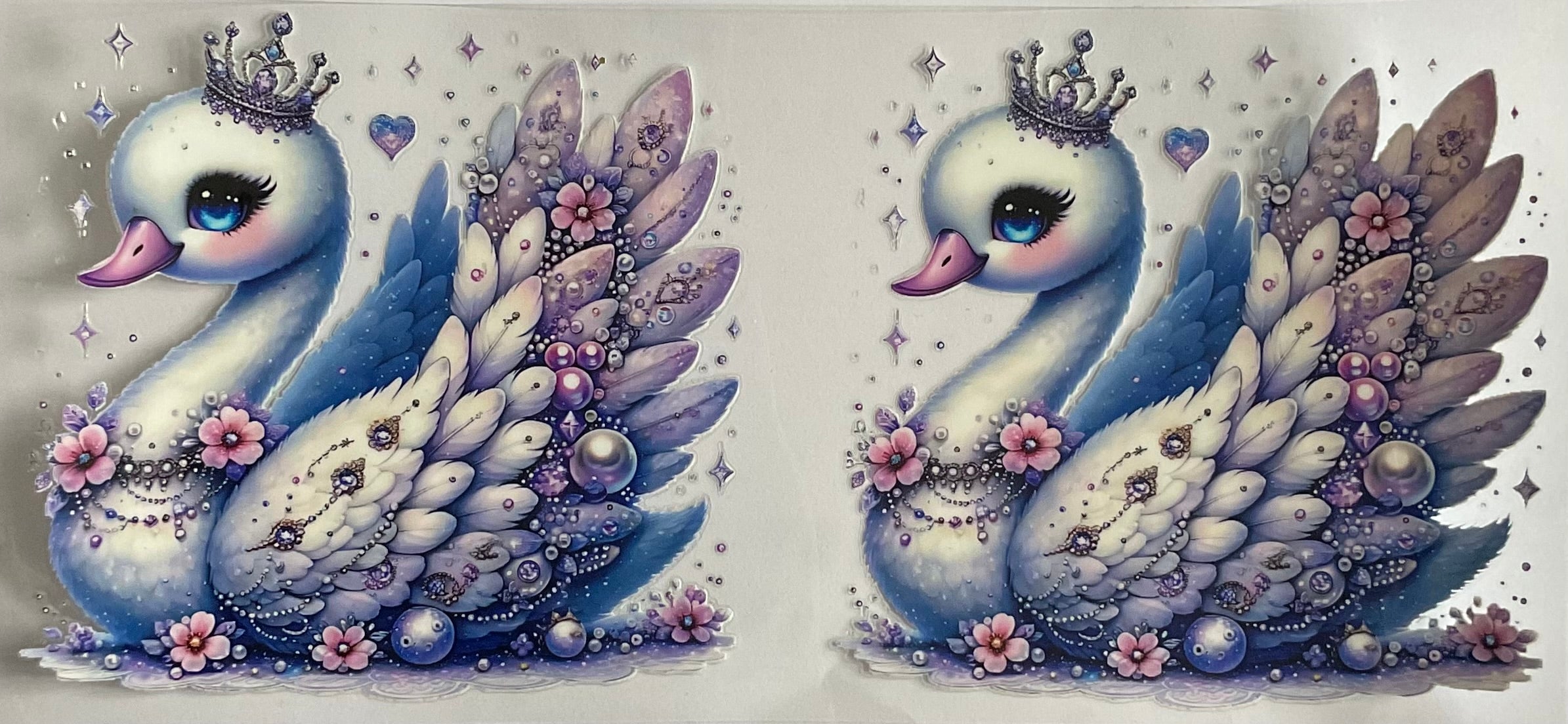 White swan